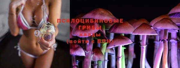 ГАЛЛЮЦИНОГЕННЫЕ ГРИБЫ Абаза