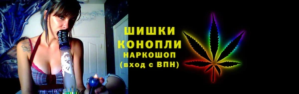 ГАЛЛЮЦИНОГЕННЫЕ ГРИБЫ Абаза