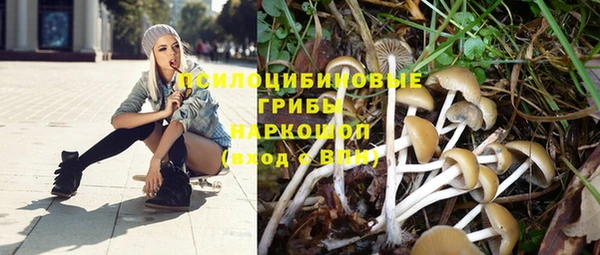 Альфа ПВП Абдулино