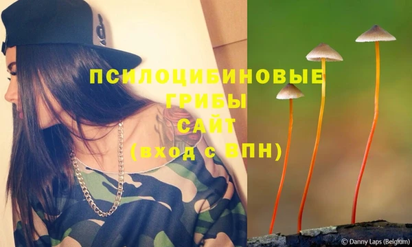 ГАЛЛЮЦИНОГЕННЫЕ ГРИБЫ Абаза